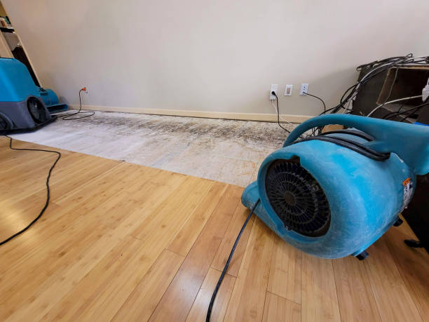 Professional Sewage Cleanup technician working in Whitmire, SC